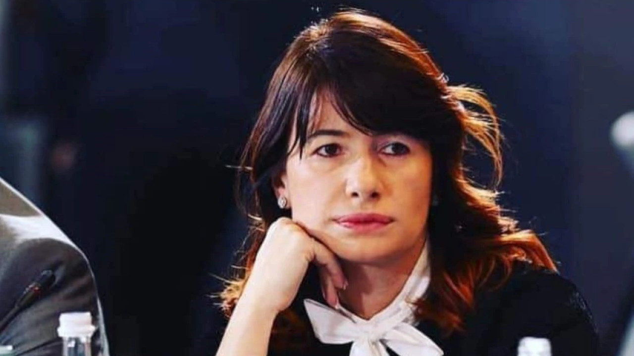 "ყველაფერს აქვს თავისი ფასი, ჩვენ მაგალითად, გაგვიყიდია გამონაკლისების გარეშეც პოლისები" - ნინა კობახიძე