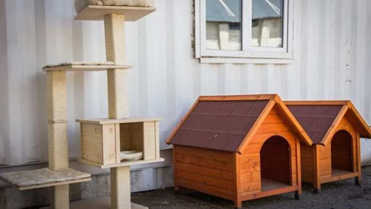 Georgian Products-ის წარმოებული შინაური ცხოველების ავეჯი, ქართულ ბაზარზე გაზაფხულიდან გაიყიდება