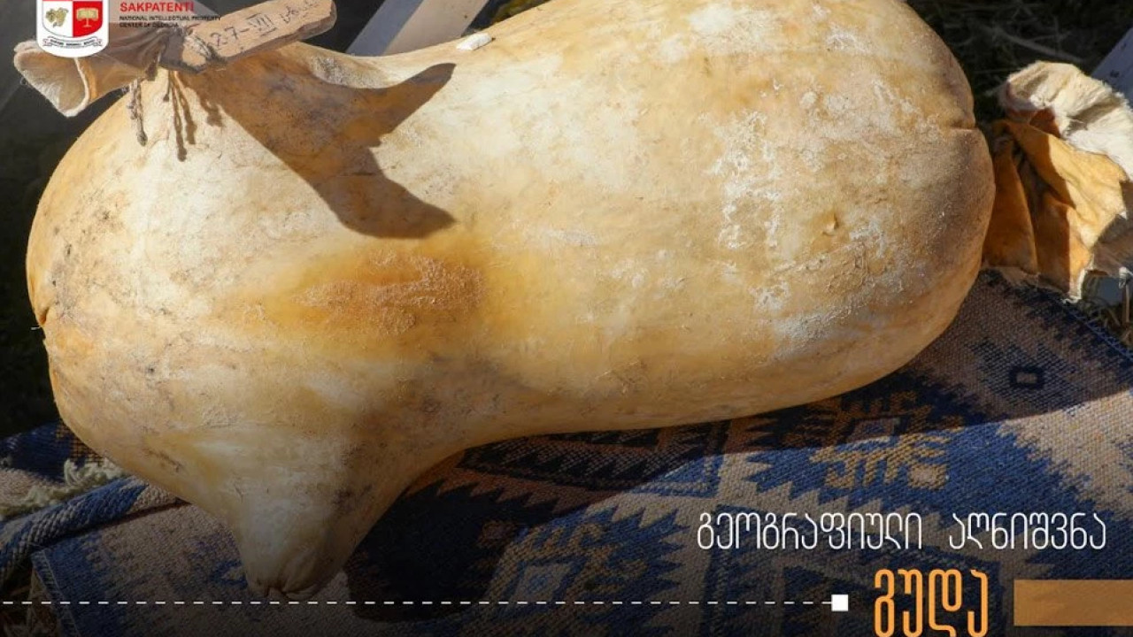 საქპატენტი "გუდას" შესახებ სტატიას აქვეყნებს