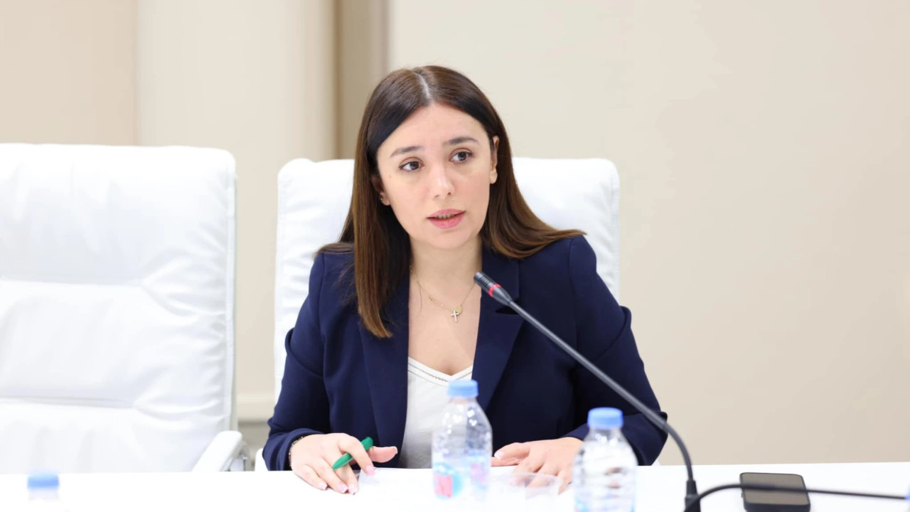 "ატმოსფეროში მავნე სათბური აირების გაფრქვევა 2030 წლამდე 35%-ით უნდა შემცირდეს" - ნინო თანდილაშილი