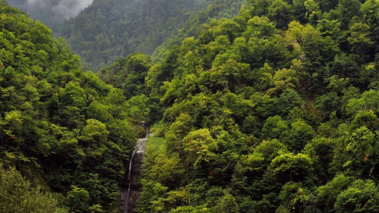 სამეგრელოში ახალი ეროვნული პარკი შეიქმნება, რომლის ფუნქციონირებისთვის ₾2.7 მლნ-ზე მეტი დაიხარჯება