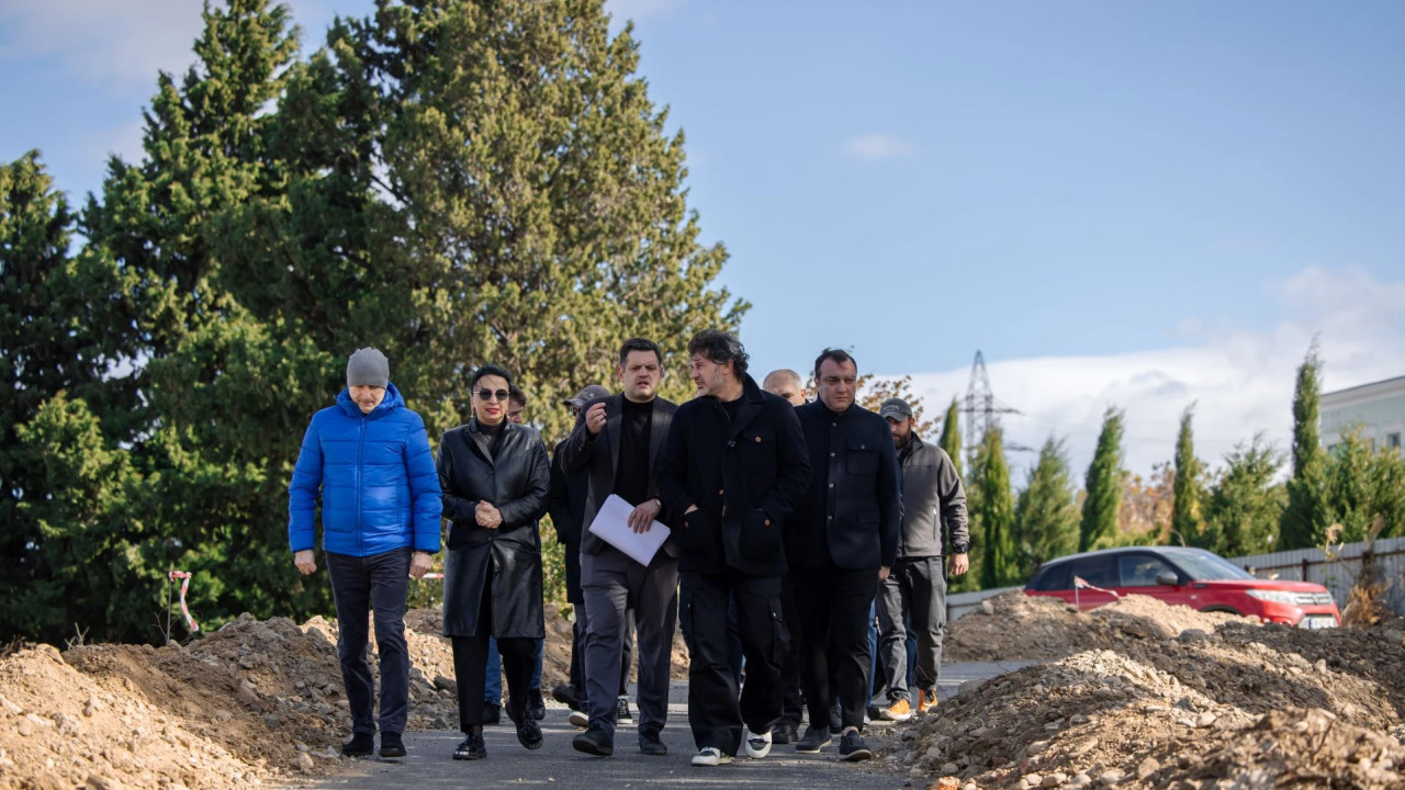 თბილისის მერიამ ხუდადოვის ტყის აღდგენის სამუშაოები დაიწყო