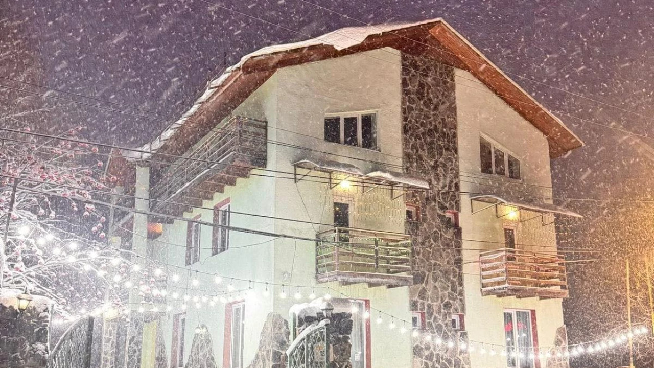 "თებერვლის დასაწყისში სასტუმროს 100% უკვე დაჯავშნილია" - WOOD INN