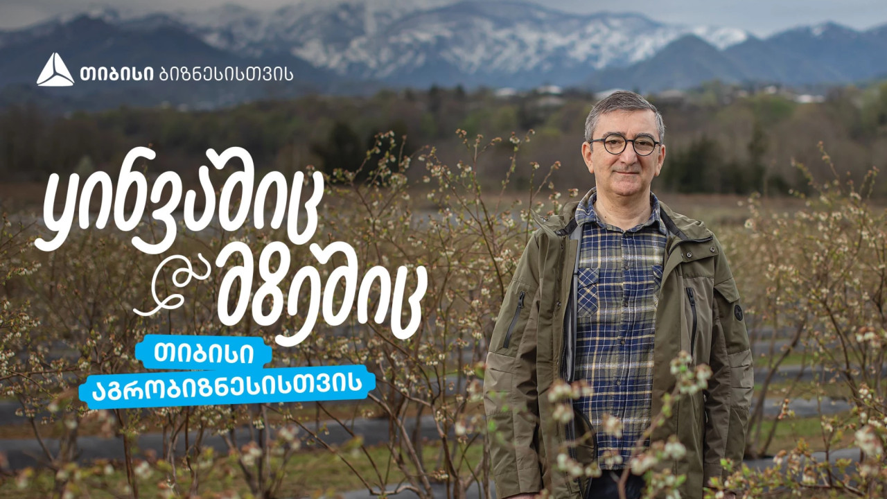 თიბისი აგრობიზნესისთვის - აჭარული ლურჯი მოცვის მოგზაურობა დასავლურ ბაზრებზე