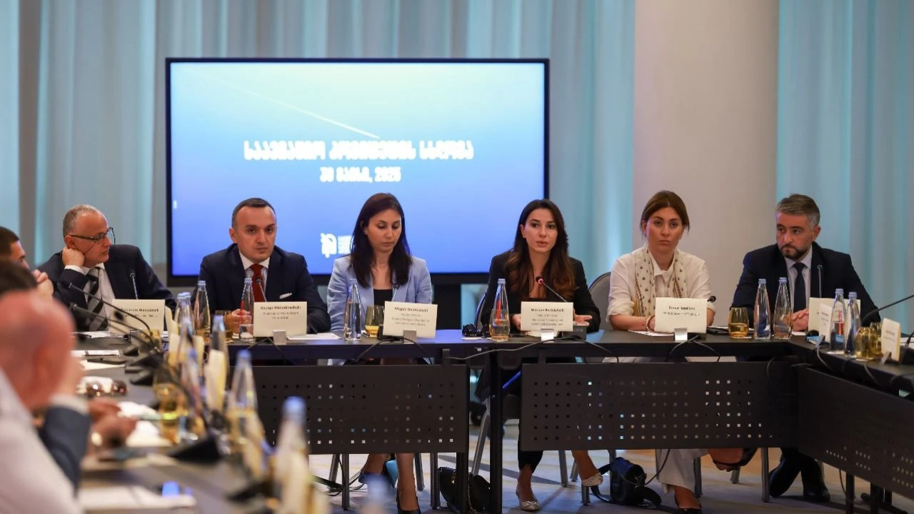 საკითხები, რომლებიც ავიაციის კომიტეტის შეხვედრაზე განიხილეს - დეტალები