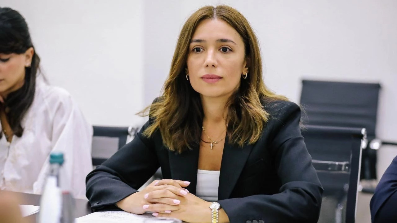 ნინო თანდილაშვილმა, გარემოს დაცვისა და ბუნებრივი რესურსების კომიტეტის სხდომაზე "გარემოსდაცვითი შეფასების კოდექსში" ცვლილებები მესამე მოსმენით წარადგინა