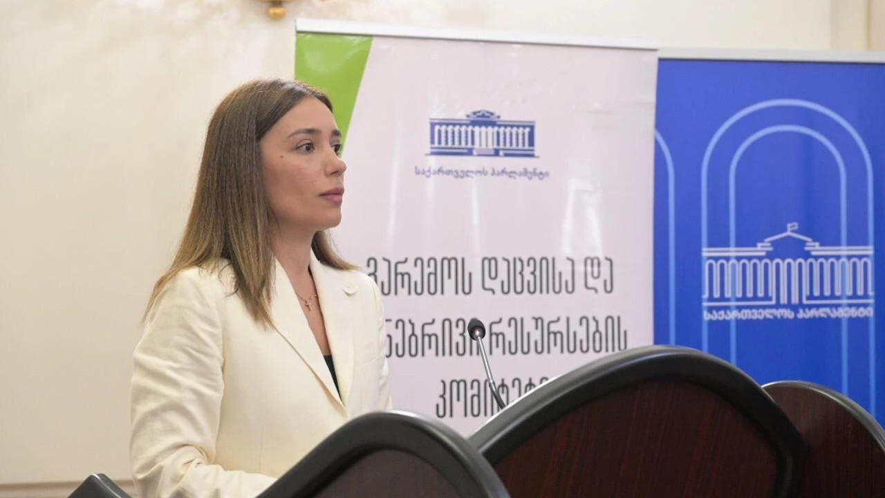 ნინო თანდილაშვილმა გარემოს დაცვისა და სოფლის მეურნეობის სამინისტროს ასოცირების შესახებ შეთანხმებით გათვალისწინებულ ვალდებულებათა შესრულების შესახებ 2024 წლის ანგარიში და 2025 წლის სამოქმედო გეგმა წარმოადგინა