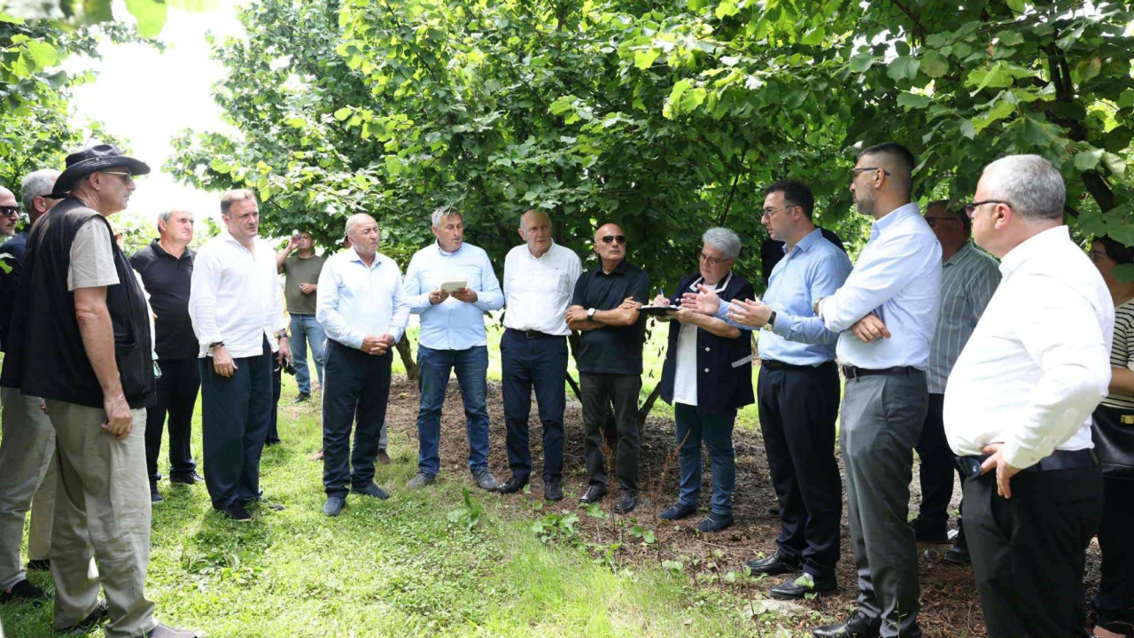 დავით სონღულაშვილი სამეგრელოში მეთხილე ფერმერებს შეხვდა