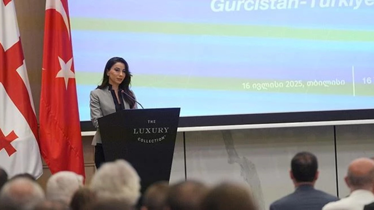 "ბოლო ხუთი წლის განმავლობაში თურქეთი რეგულარულად ზრდის საქართველოში ინვესტიციებს" - მარიამ ქვრივიშვილი