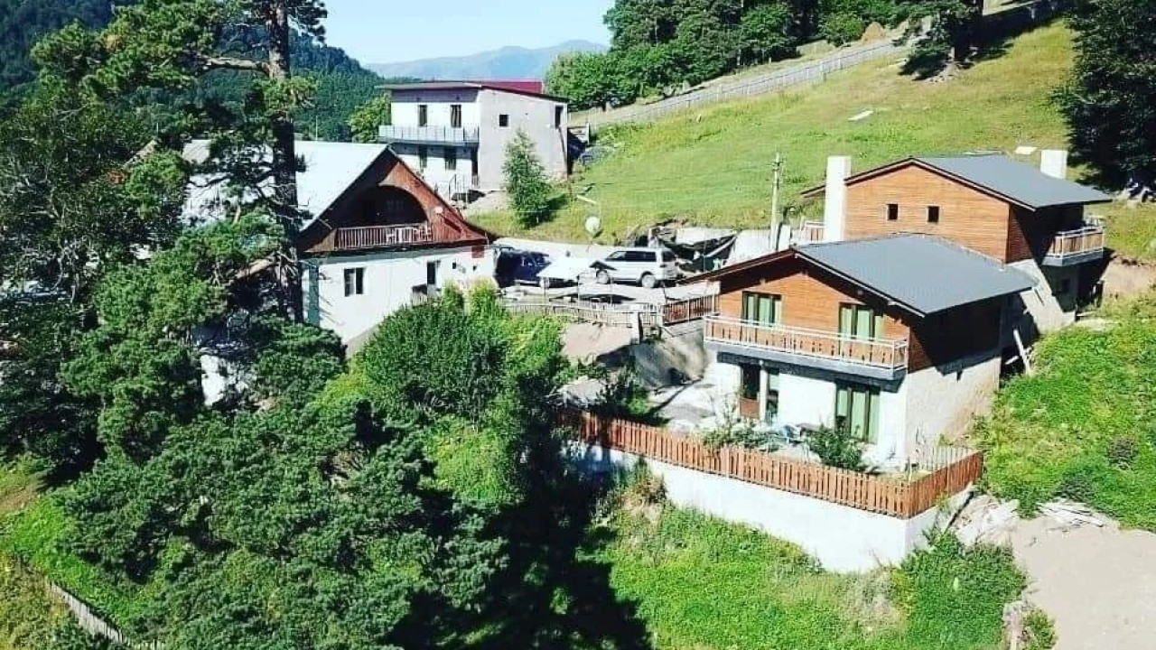 "ინფრასტრუქტურული სამუშაოების მიუხედავად, ტურისტული ნაკადი მზარდია" - "კოტეჯები ბაკურიანი"