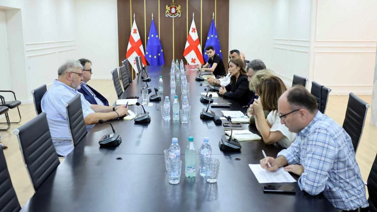 ნინო თანდილაშვილი: გარემოს დაცვა და კლიმატის ცვლილების საკითხების გათვალისწინება ქვეყნის ეკონომიკის განვითარების პროცესში საქართველოს მთავრობის პრიორიტეტია