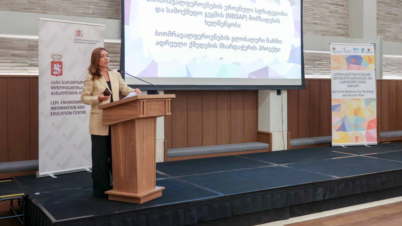 ეროვნული ბიომრავალფეროვნების სტრატეგიისა და სამოქმედო გეგმის (NBSAP) დოკუმენტის შემუშავების პროცესი იწყება