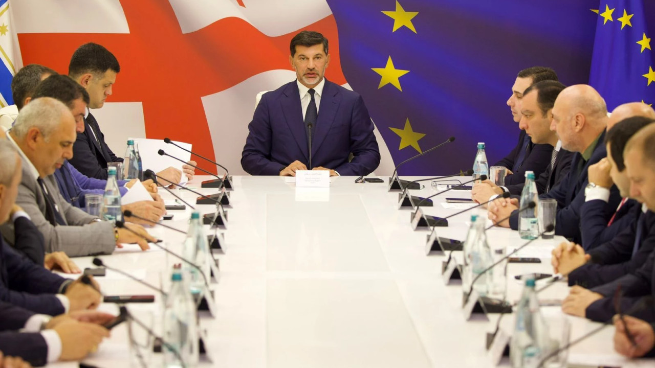 თბილისის მერის დავალება მუნიციპალურ ინსპექციას - დეტალები