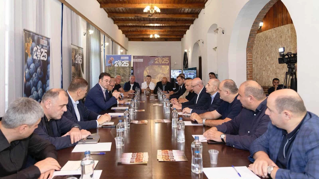 დავით სონღულაშვილი კახეთში რთველის მიმდინარეობის პროცესს გაეცნო