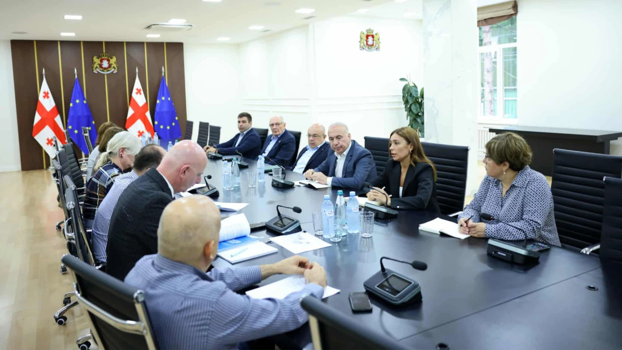 გარემოს დაცვისა და სოფლის მეურნეობის სამინისტროში სურსათთან შემხებლობაში მყოფი პლასტიკის მოხმარების რეგულირების საკითხი განიხილეს