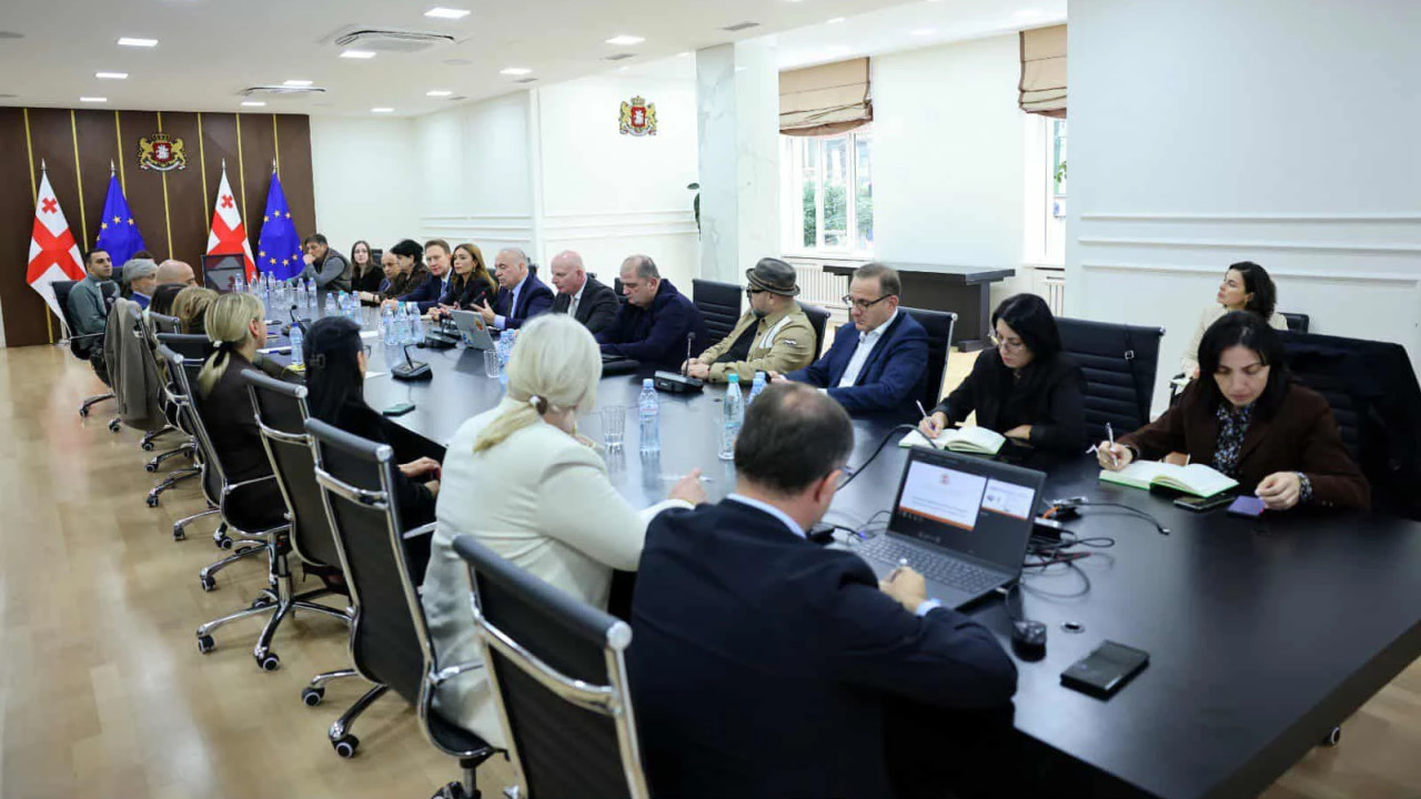 "ვფიქრობ, შევძლებთ ისეთი მოდელის შემუშავებას, რაც  ხელს შეუწყობს ეკოლოგიურ უსაფრთხოებას"