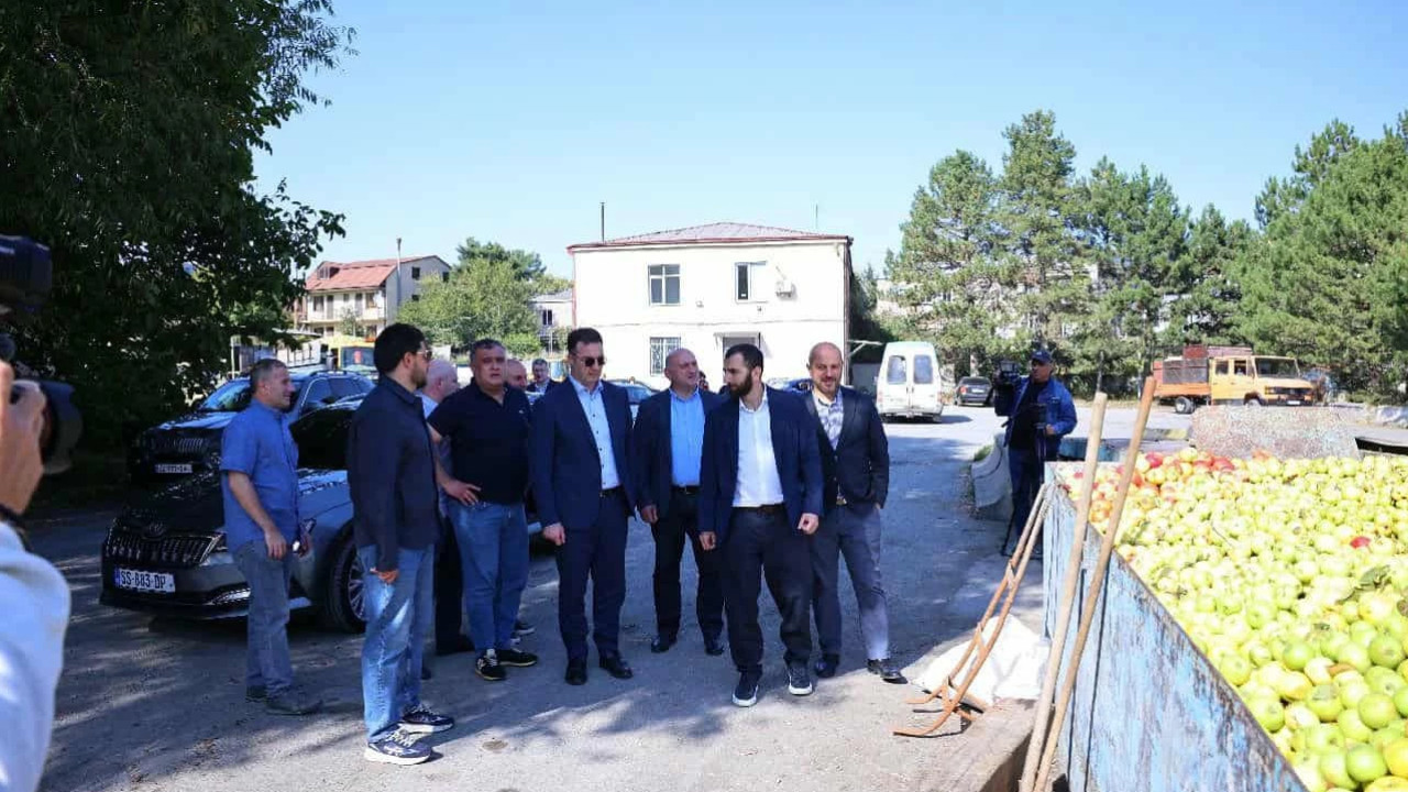 დავით სონღულაშვილი არასტანდარტული ვაშლის ჩაბარების პროცესს კომპანიაში "ჯეო კონცენტრატი" გაეცნო