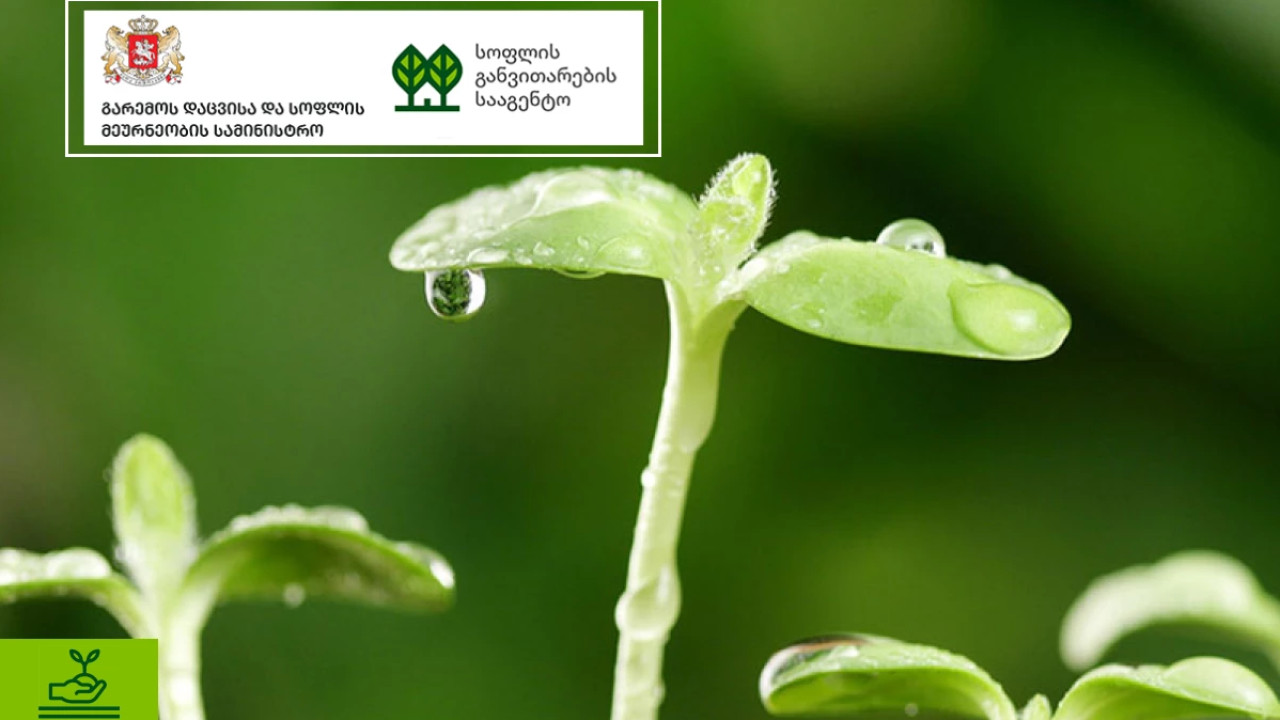 პროგრამის "დანერგე მომავალი" ბაღების კომპონენტში მონაწილეობისთვის განაცხადების მიღება გაზრდილი თანადაფინანსებით იწყება
