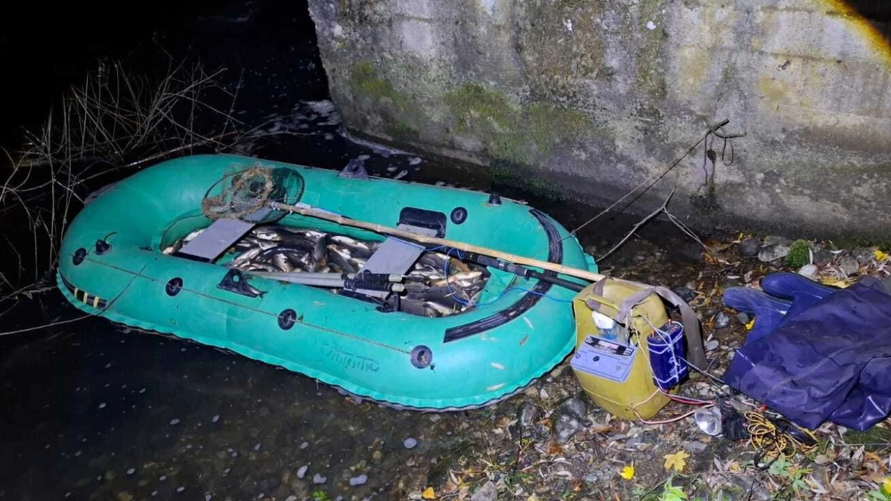 გარემოსდაცვითი ზედამხედველობის დეპარტამენტმა მდინარე ხრამზე ელექტროიარაღით უკანონო თევზჭერის ფაქტი გამოავლინა