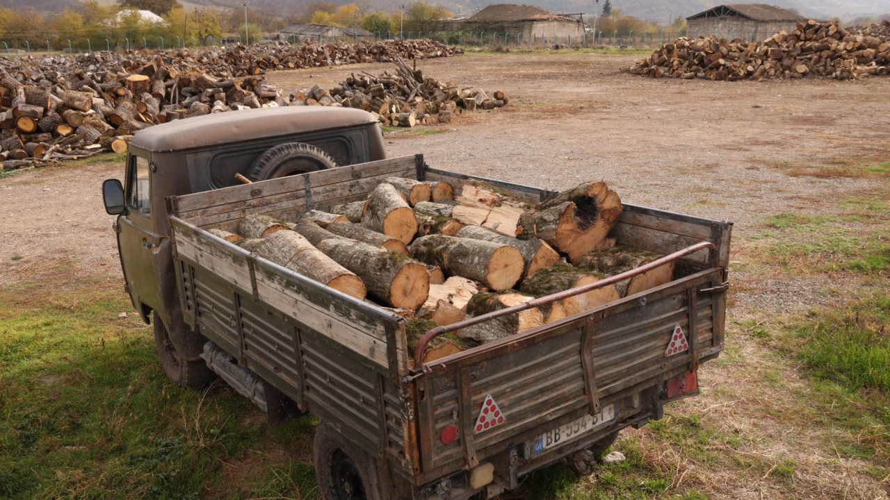 ხე-ტყის უკანონო მოპოვება და ტრანსპორტირება ბოლნის-დმანისში
