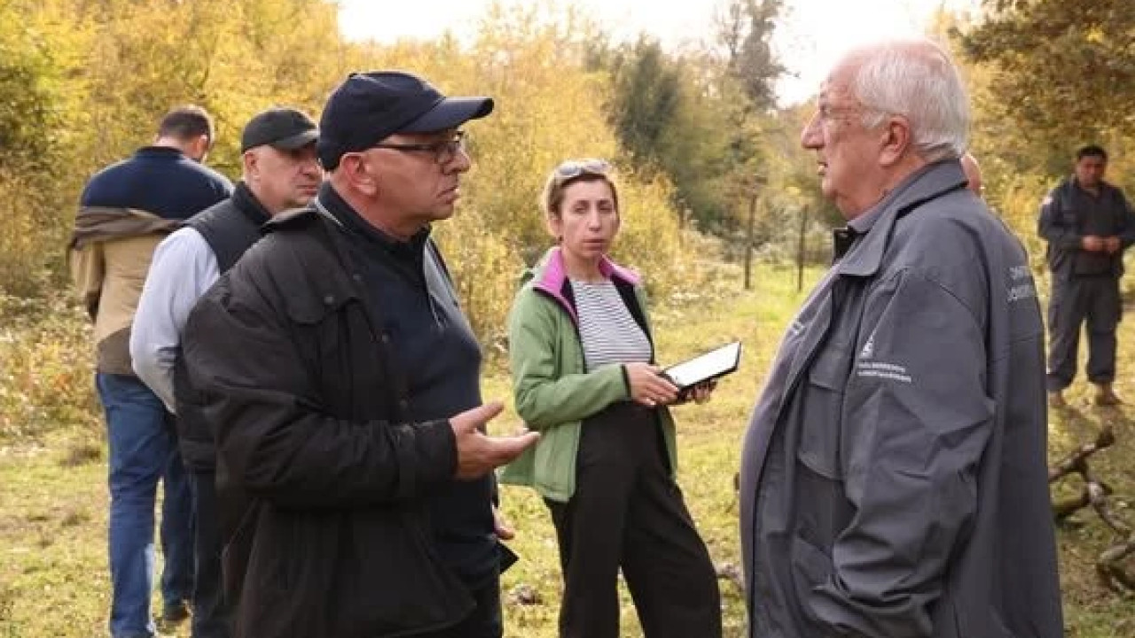 ტყის აღდგენის პროექტი ქუთაისის მუხნარში