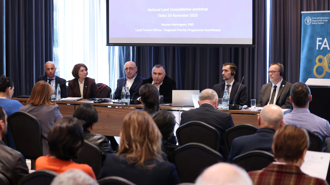საქართველოში მიწის კონსოლიდაციის ეროვნული სტრატეგიის დოკუმენტის პროექტი სემინარზე განიხილეს