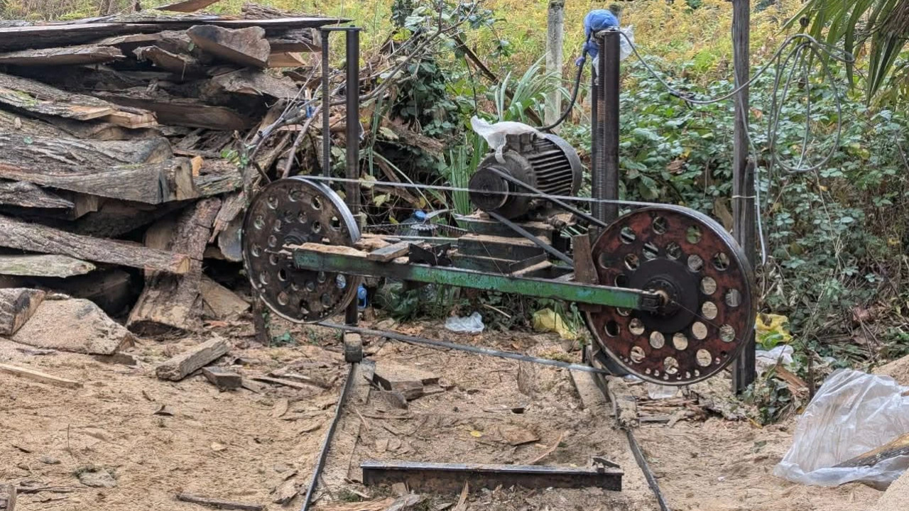 გარემოსდაცვითი ზედამხედველობის დეპარტამენტმა იმერეთში უკანონო სახერხი საამქრო გამოავლინა