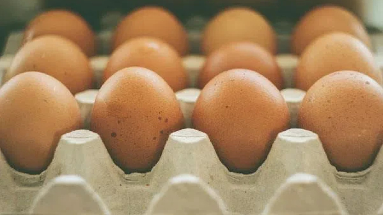 "კვერცხის იმპორტი შემცირებულია, ამიტომ სუპერმარკეტების დახლებზე ცარიელი ადგილი ჩანს" - ზურაბ უჩუმბეგაშვილი