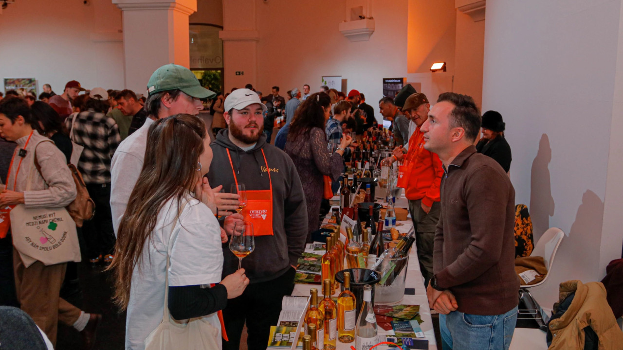 ბოლნისის ღვინოებმა Orange Wine Festival-ში მიიღეს მონაწილეობა