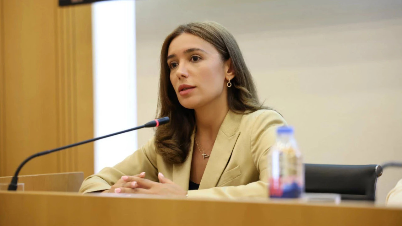 "ორიენტირებული მხოლოდ პირველადი წარმოების ექსპორტზე არ უნდა ვიყოთ" - ნინო თანდილაშვილი