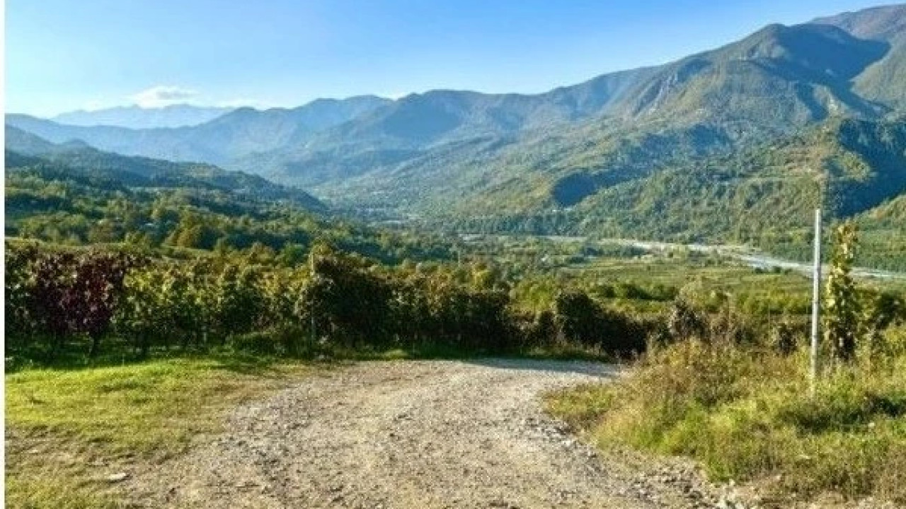 დასავლეთ საქართველოს ღვინოებზე ამერიკულ გამომცემლობა The Wine Palate-ში სტატია გამოქვეყნდა