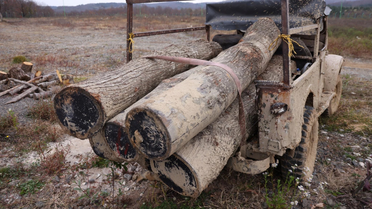 ჭიათურაში, სახელმწიფო ტყის ტერიტორიაზე ხე-ტყის უკანონო მოპოვებისა და ტრანსპორტირების ფაქტი გამოავლინდა