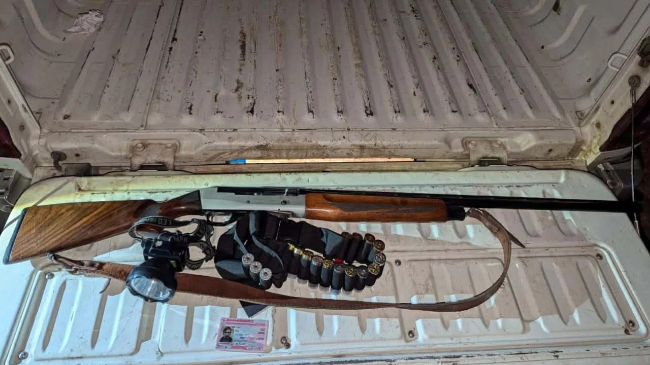 გარემოსდაცვითი ზედამხედველობის დეპარტამენტმა, ნადირობის სეზონის გახსნიდან 3 თვეში, 682 სამართალდარღვევა გამოავლინა