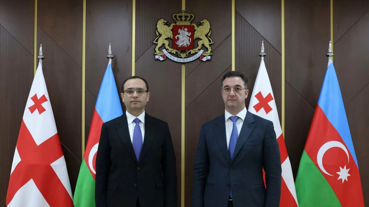 დავით სონღულაშვილი აზერბაიჯანის რესპუბლიკის სოფლის მეურნეობის მინისტრ მაჯნუნ მამადოვს და დელეგაციის წევრებს შეხვდა