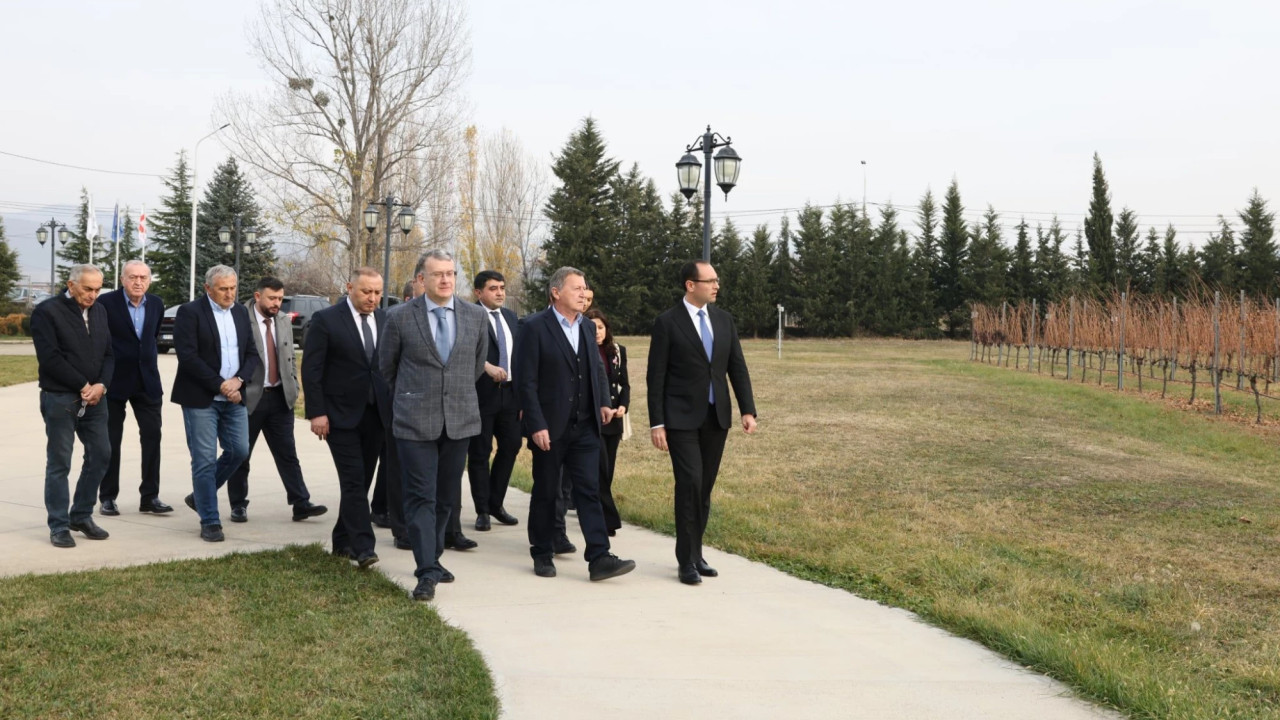 ჯიღაურას მრავალწლოვანი კულტურების ბაზამ აზერბაიჯანის რესპუბლიკის სამთავრობო დელეგაციას უმასპინძლა