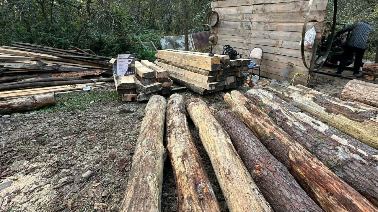 გარემოსდაცვითი ზედამხედველობის დეპარტამენტმა გურიაში უკანონო სახერხი საამქრო გამოავლინა