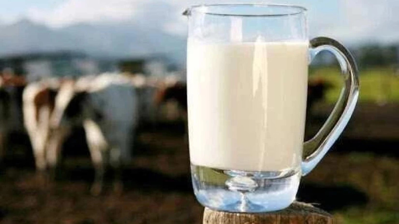 სურსათის ეროვნულმა სააგენტომ რძის შემცველი პროდუქტების საწარმოს საქმიანობა შეუჩერა