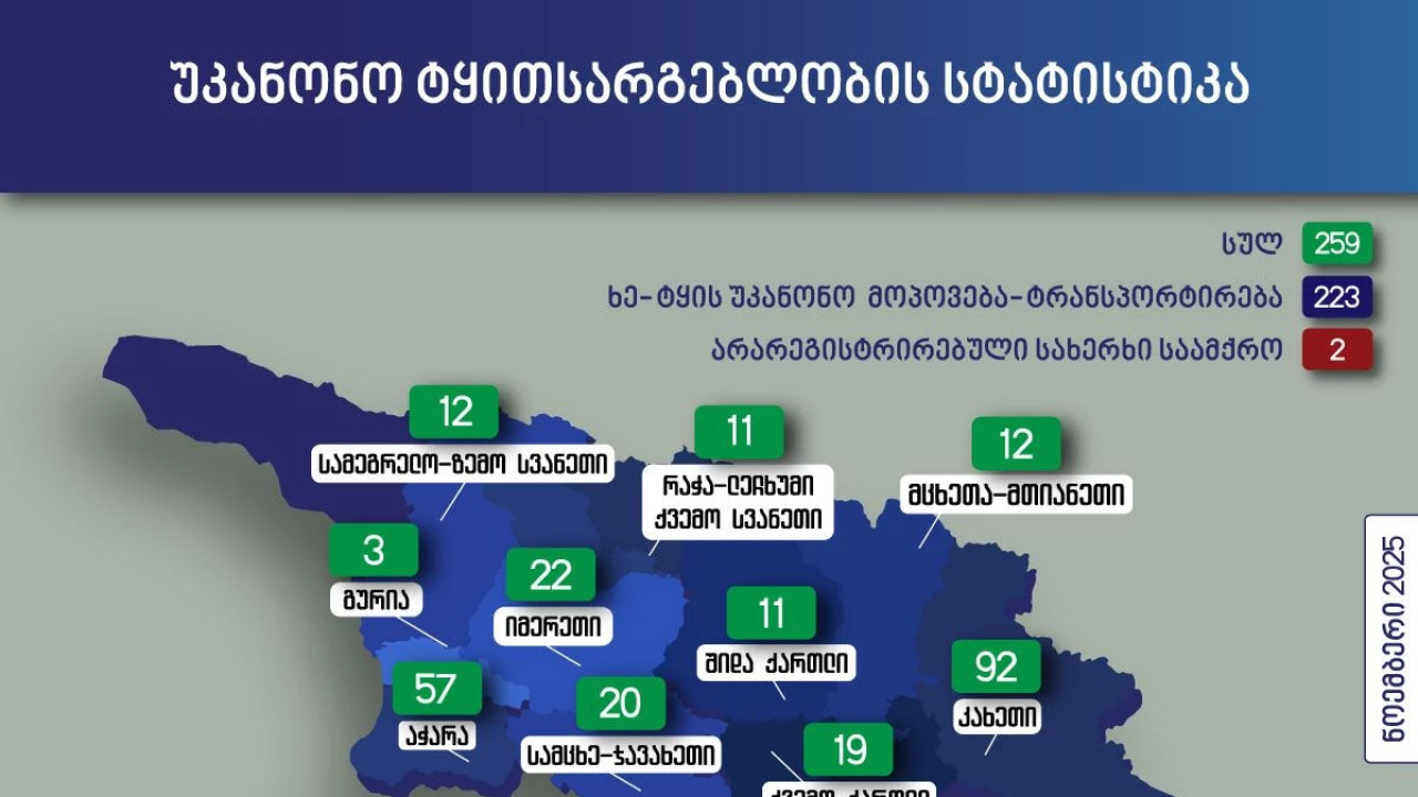 გარემოსდაცვითი ზედამხედველობის დეპარტამენტმა ნოემბერში უკანონო ტყითსარგებლობის 259 ფაქტი გამოავლინა