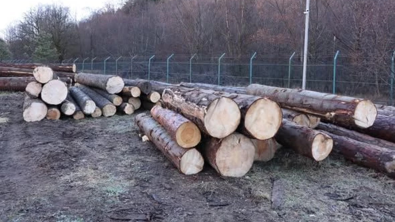 სამცხე-ჯავახეთის სატყეო სამსახურის თანამშრომლებმა სამართალდარღვევის ორი ფაქტი გამოავლინეს