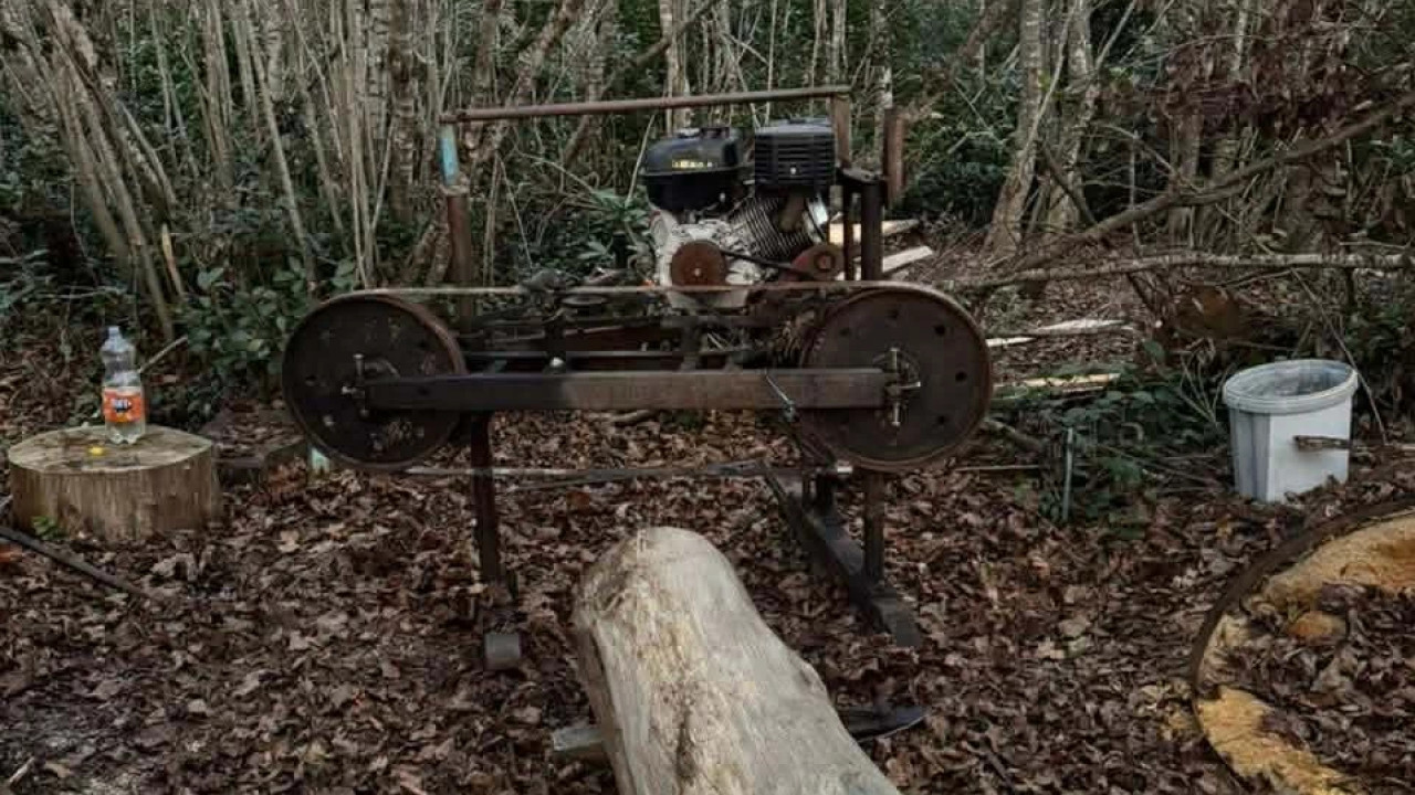 გარემოსდაცვითი ზედამხედველობის დეპარტამენტმა იმერეთში უკანონო სახერხი საამქრო გამოავლინა