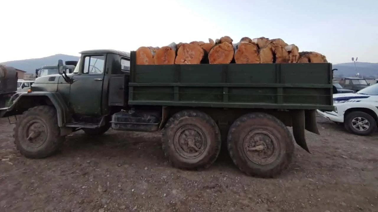 გარემოსდაცვითი ზედამხედველობის დეპარტამენტმა ქვემო ქართლში ხე-ტყის უკანონო მოპოვებისა და ტრანსპორტირების ფაქტები გამოავლინა