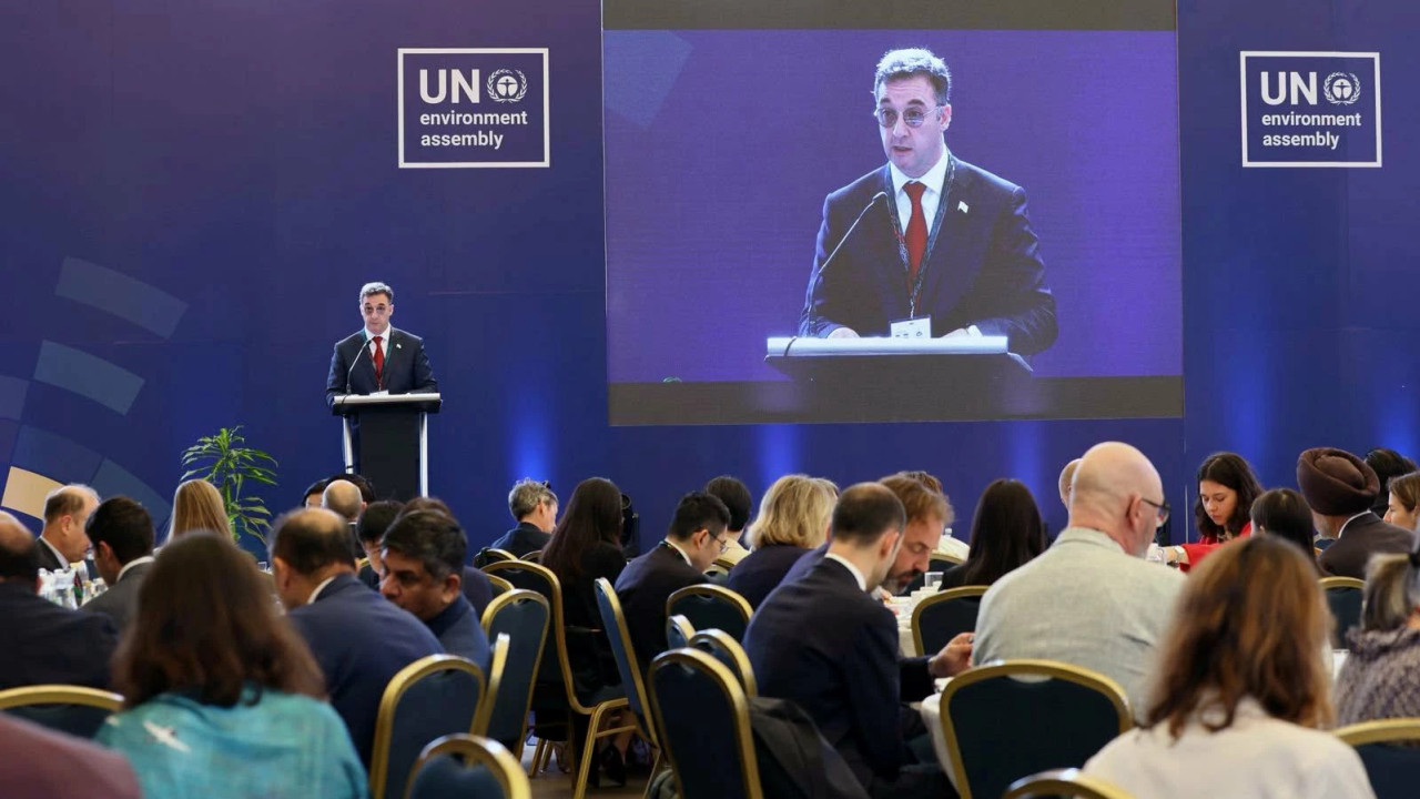 "საქართველო მზად არის აქტიურად ჩაერთოს მოლაპარაკებებში, რომ პლასტმასის გლობალური ხელშეკრულება იყოს ეფექტიანი"