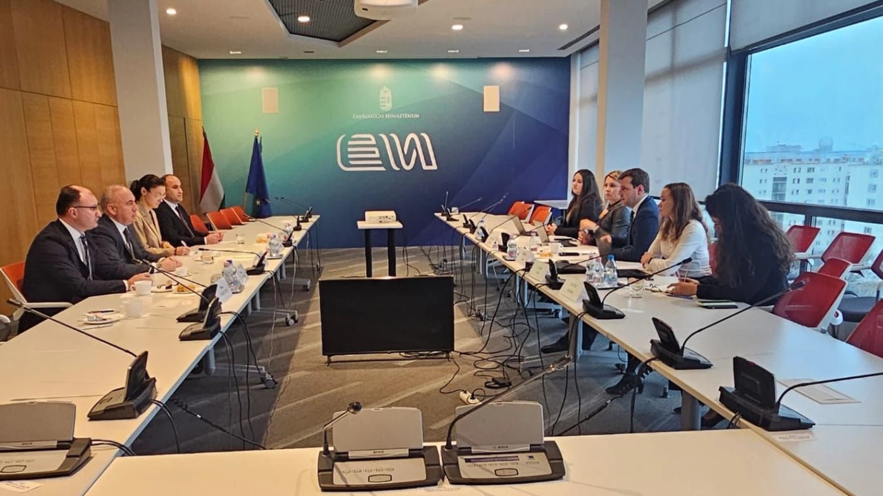 სოლომონ პავლიაშვილი უნგრეთის ენერგეტიკის მინისტრის მოადგილეს, ჩაბა გონდოლას შეხვდა