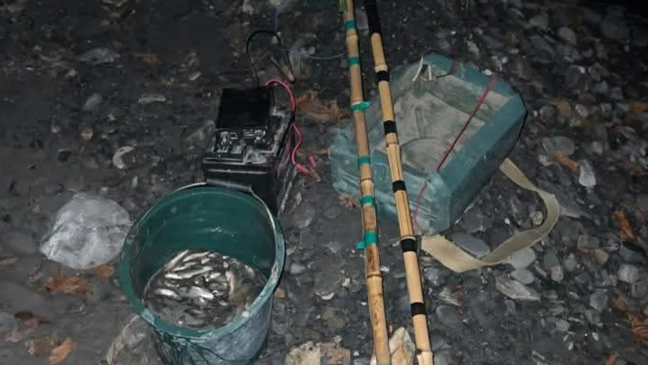 გარემოსდაცვითი ზედამხედველობის დეპარტამენტმა კახეთში ელექტროიარაღით უკანონო თევზჭერის ფაქტი გამოავლინა