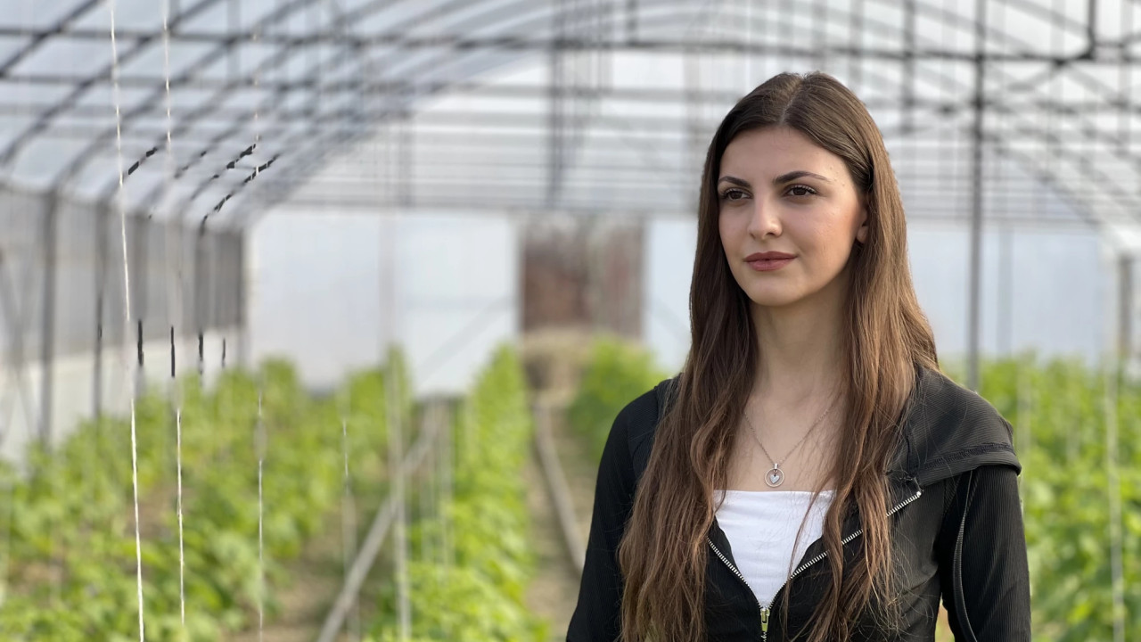 "ჩვენი მიზანი იმპორტირებული პროდუქციის ქართულით ჩანაცვლებაა" - "ჩვენი სათბურები საგარეჯოში"