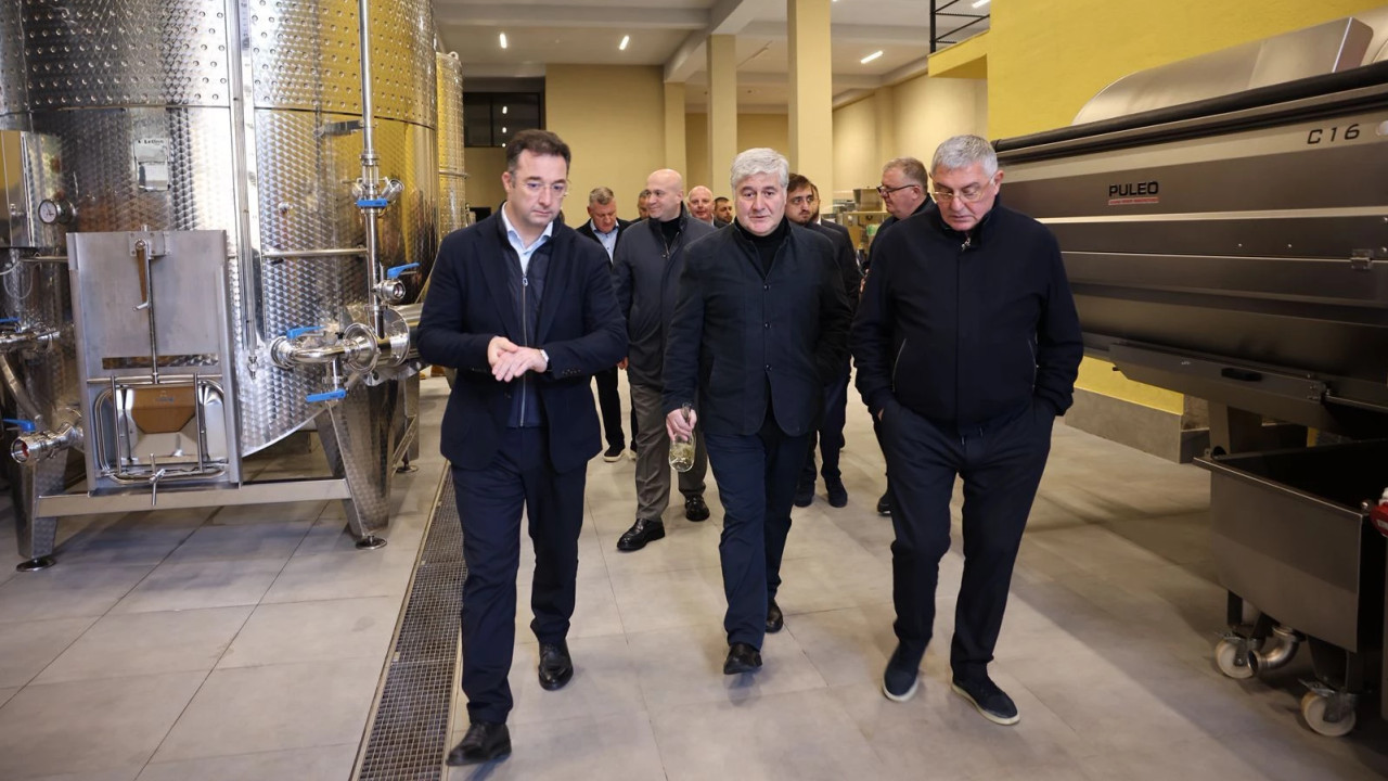 "მცირე მარნები ხელს უწყობენ რეგიონული ჯიშების შენარჩუნებასა და განვითარებას" - დავით სონღულაშვილი