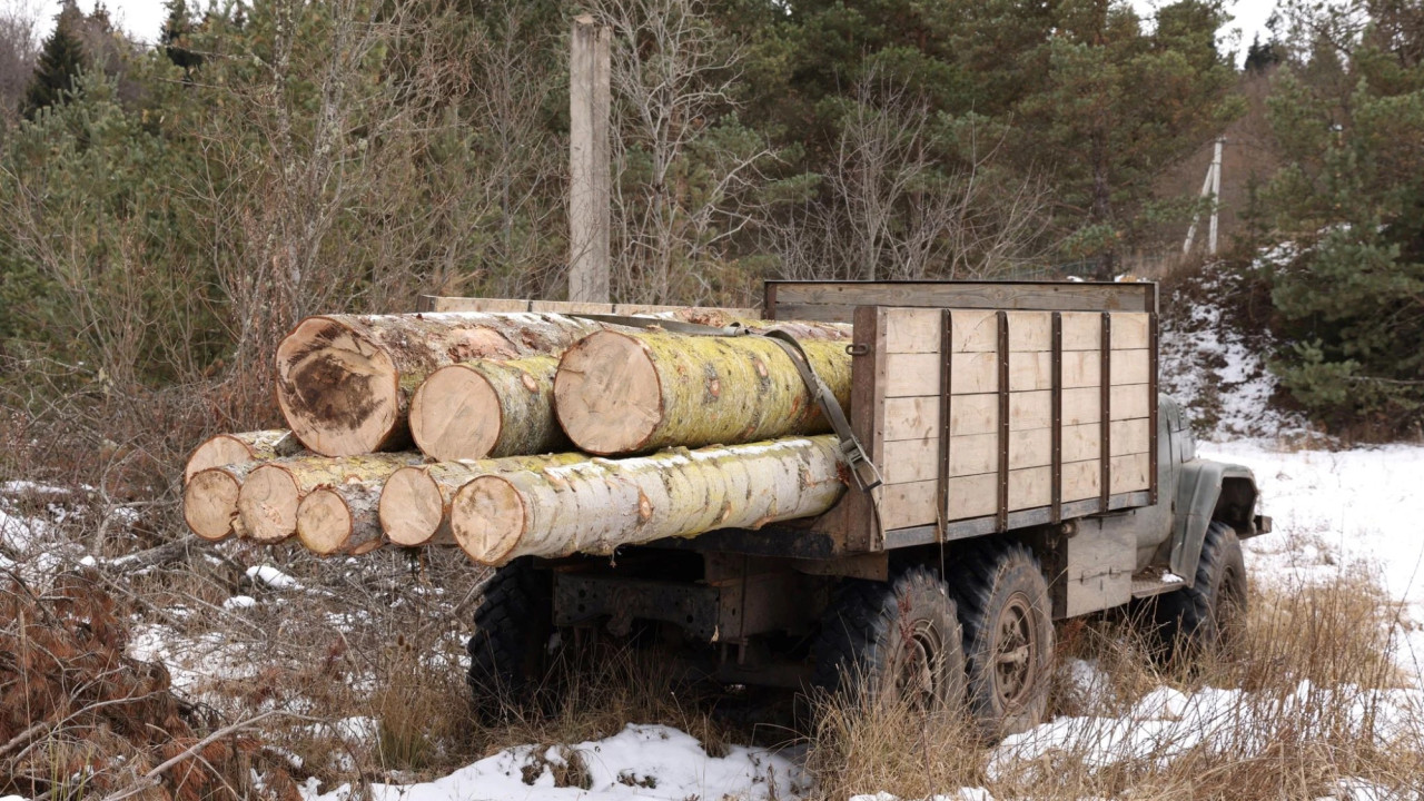 ხე-ტყის უკანონო მოპოვებისა და ტრანსპორტირების ფაქტი ბაკურიანში