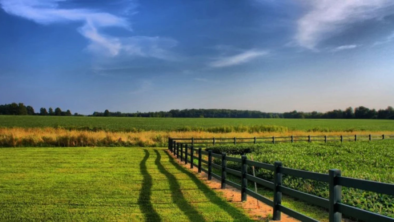 საქართველოს მიწის კონსოლიდაციის ეროვნული სტრატეგიის დოკუმენტის პროექტზე მუშაობა დასრულდა - სამინისტრო