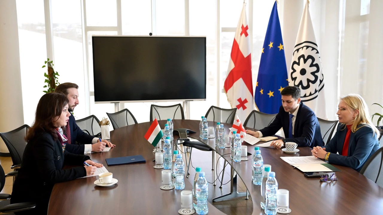 ნათია თურნავა უნგრეთის ახალ ელჩს შეხვდა