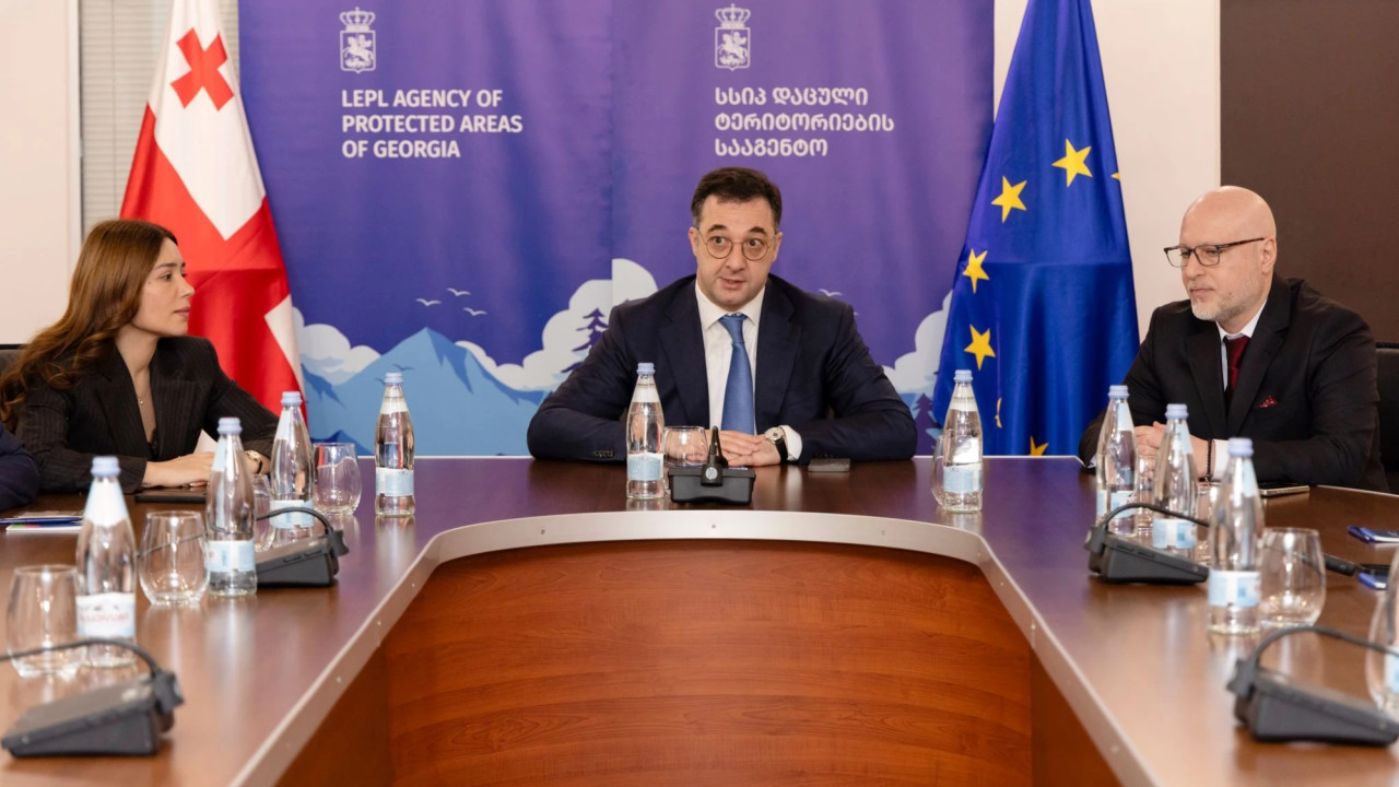 დაცული ტერიტორიების სააგენტოს ოთარ ედიშერაშვილი უხელმძღვანელებს